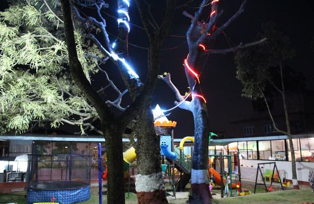 Place photo 2