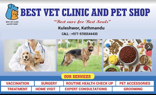 Best vet clinic and pet shop