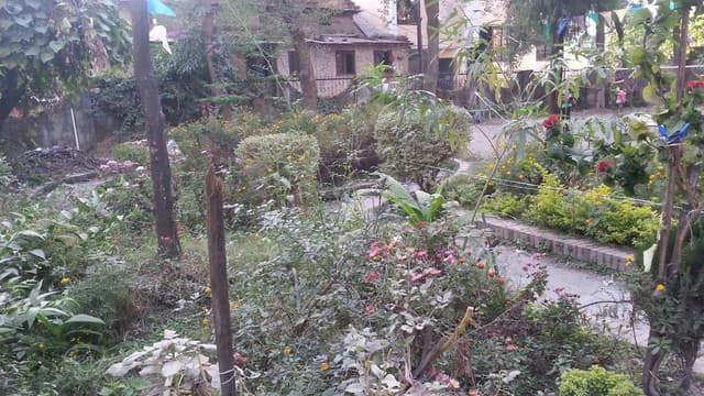 Place photo 3