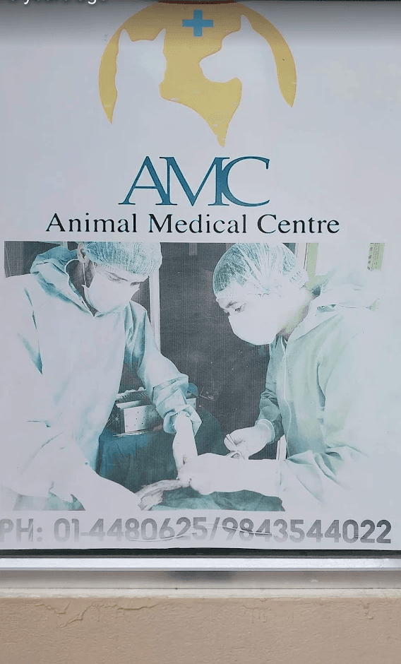 Animal Medical Center (AMC)