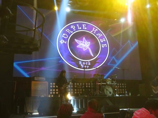 Purple Haze Rock Bar
