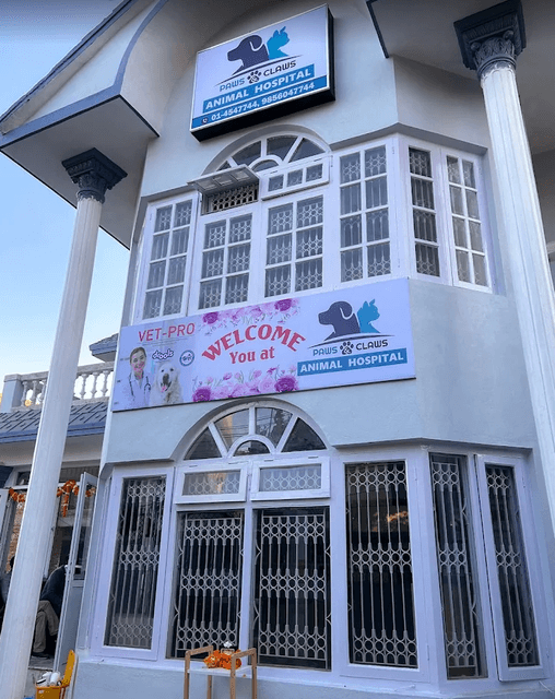 Paws & Claws Animal Hospital